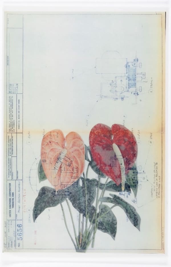 Melanie Smith, Collage 6, 2014