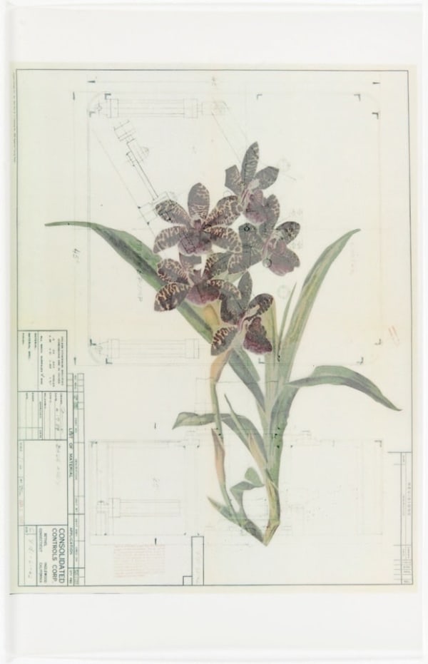 Melanie Smith, Collage 17, 2014