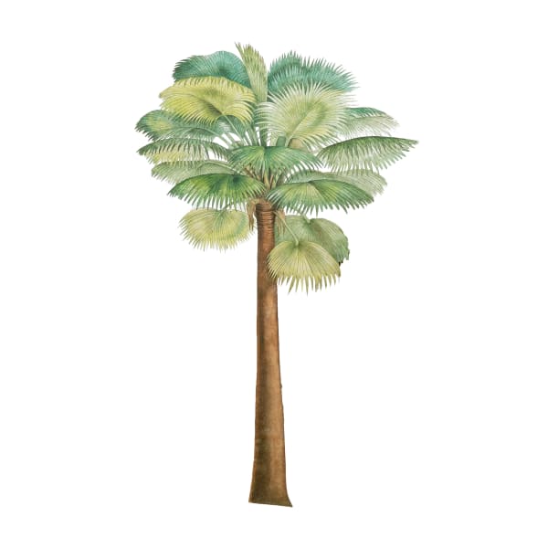 Ishita Chakraborty, In Passage Tropical, Palm, 2025