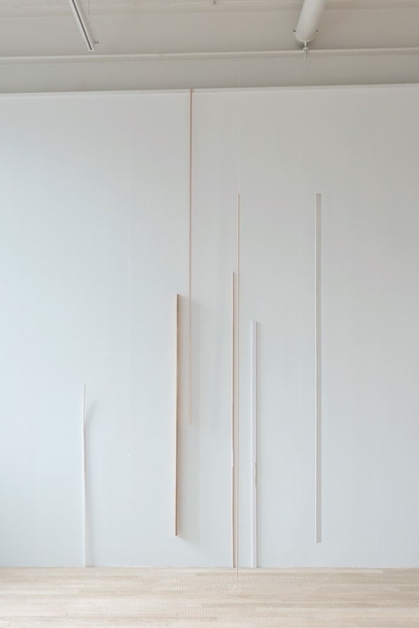 Fernanda Gomes, Untitled, 2015