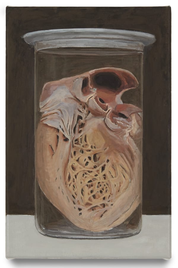 Christoph Hänsli, Feuchtpräparat Aneurysma arteriae coronariae, 2022