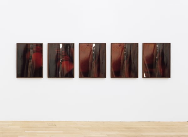 Paul Mpagi Sepuya, Exposure (_2100879, _2100889, _2100999, _2110004, _2110008), 2017