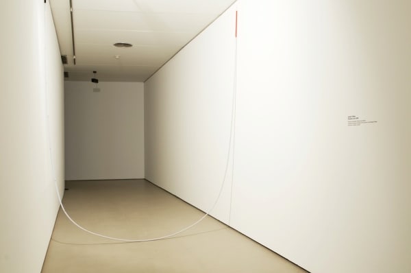 Javier Téllez, Paradise Lost, 2008