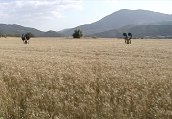 Jorge Macchi, Quotation, 2002/2020