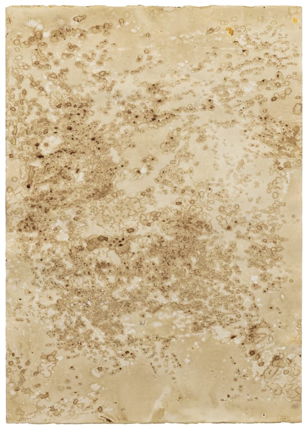 Teresa Margolles, Papeles de la morgue (Papers of the Morgue), 2003