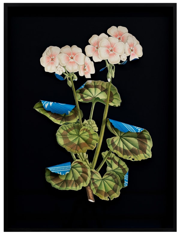 Ishita Chakraborty, Where The Wild Things Roam II, 2025