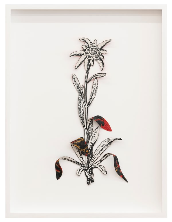 Ishita Chakraborty, Where The Wild Things Roam III, 2025