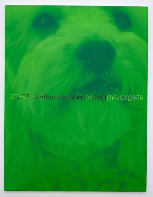 Fabian Marti, I LÄBE NO (Lutz & 3FdX8Nt19BmHsYq5FmSb18uCtQFq6XQb7h), 2019