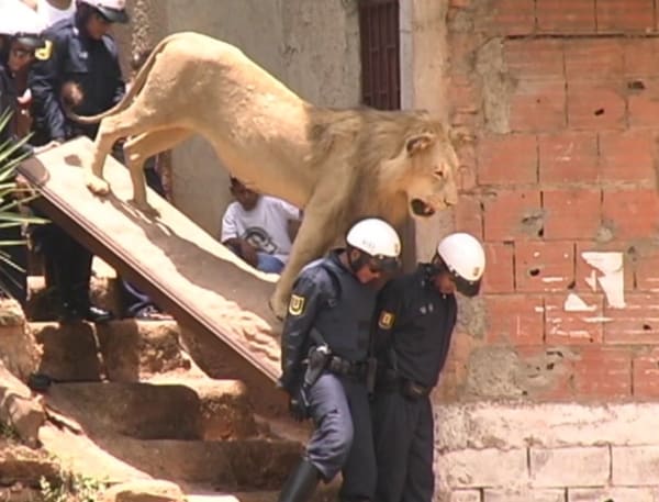 Javier Téllez, El león de Caracas, 2002