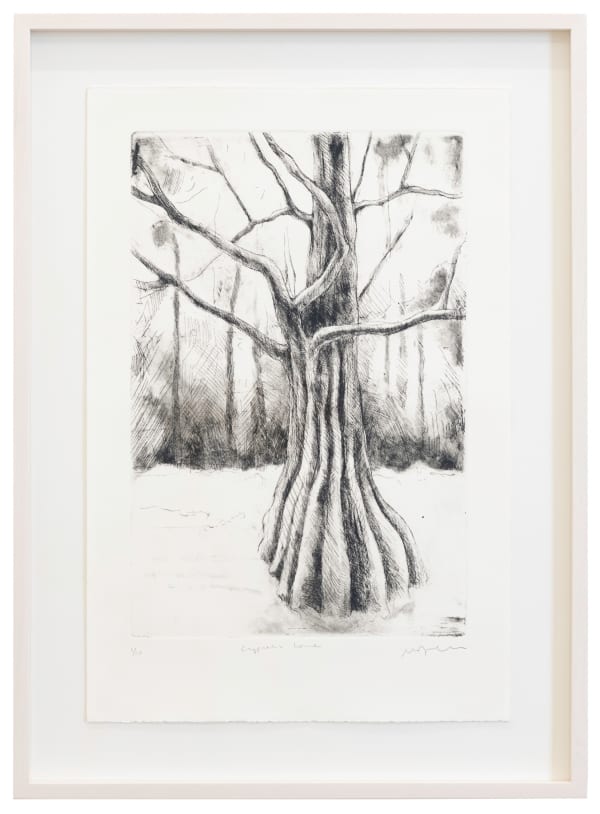 Didier William, Cypress (3), 2024