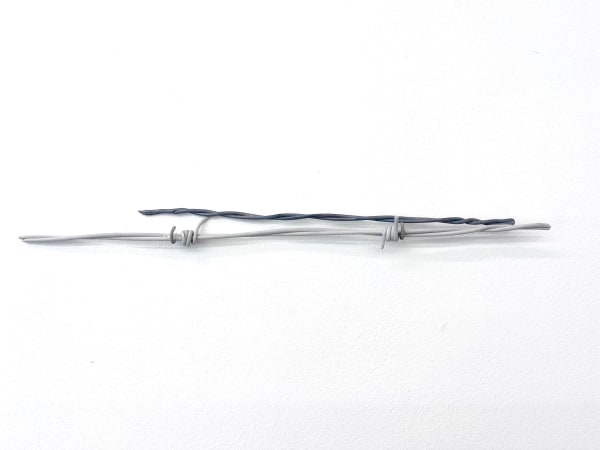 Ishita Chakraborty, Resistance XI, 2025