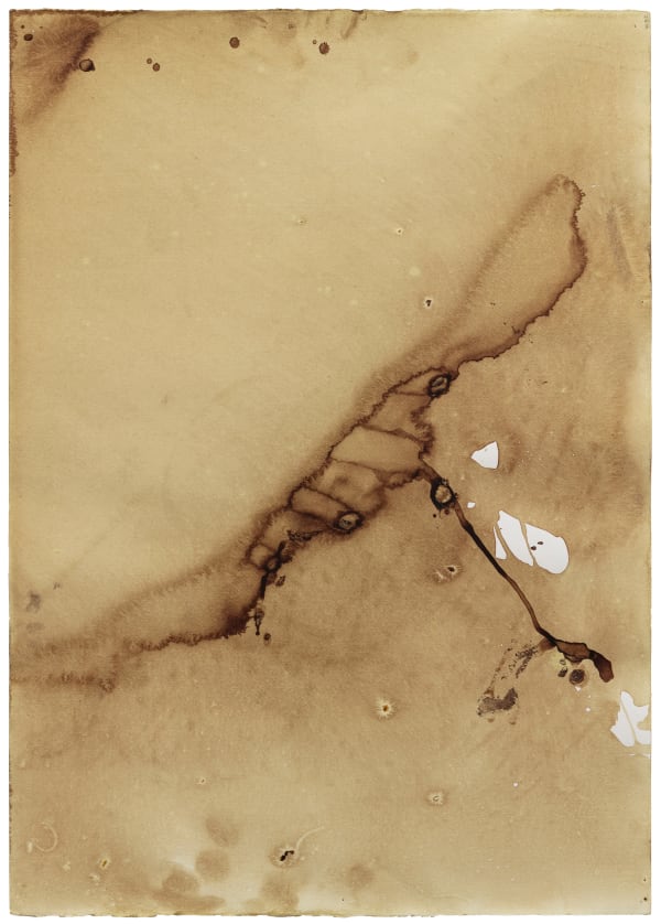 Teresa Margolles, Papeles de la morgue (Papers of the Morgue), 2003