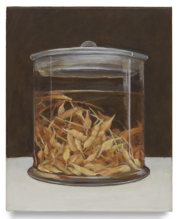 Christoph Hänsli, Nasspräparat Raphanus sativus (Rettich, 1982), 2020