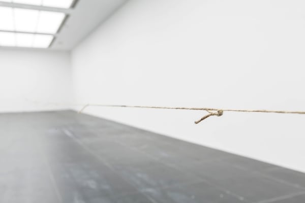 Teresa Margolles, 51 cuerpos (51 Bodies), 2010