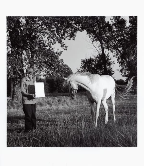Bruno Jakob, Untitled (Horse)Invisible Painting / Brain, 2003