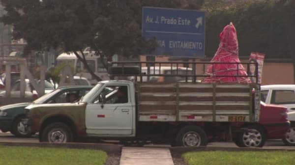 Melanie Smith, Bulto (Package), 2011