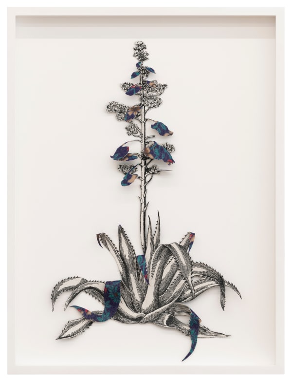 Ishita Chakraborty, Where The Wild Things Roam VII, 2025