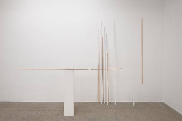 Fernanda Gomes, Untitled, 2019