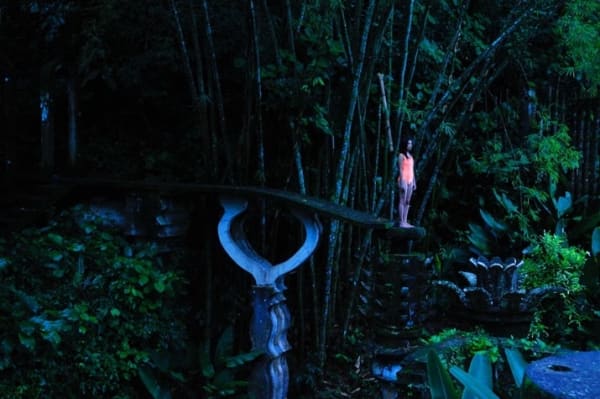 Melanie Smith, Fleur de Iys, 2010