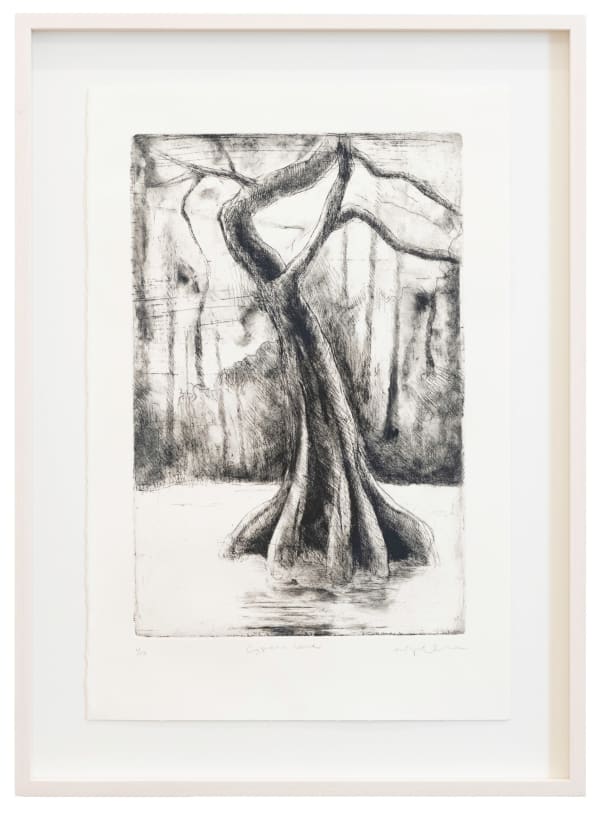 Didier William, Cypress (2), 2024