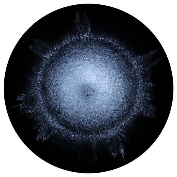 Gary James Joynes, Tesla Tone 450 Hz, 2023