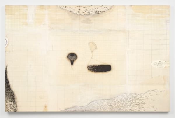 Sean Caulfield, Tracing The Descent, 2008-2022