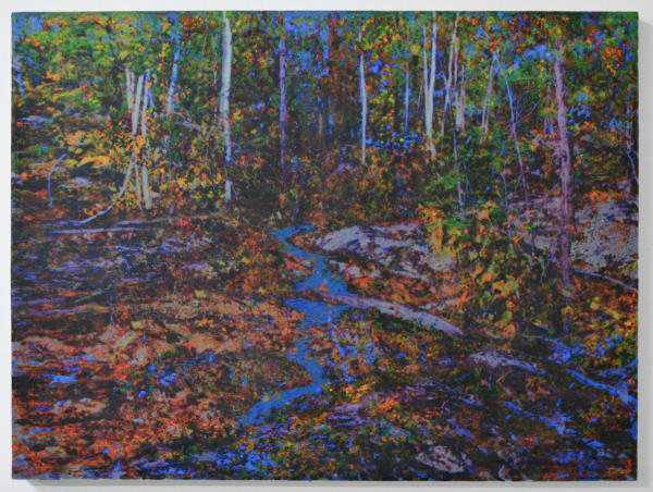 Robin Smith Peck, In the Woodlands #39, 2025