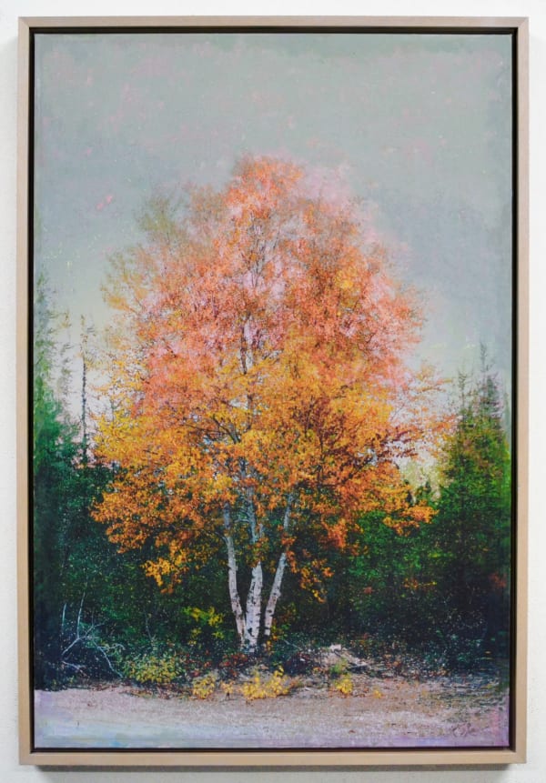 Robin Smith Peck, In the Woodlands 25, 2025