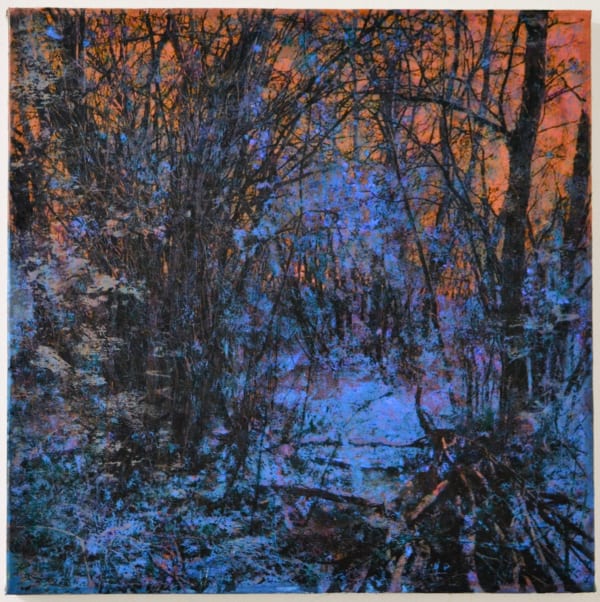 Robin Smith Peck, In the Woodlands #44, 2025