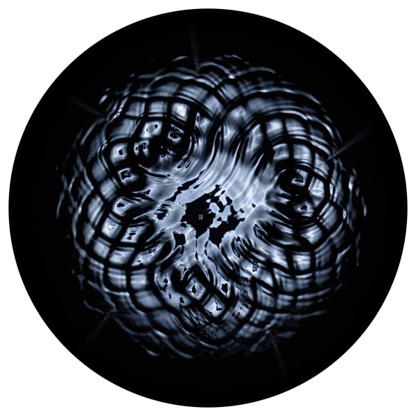 Gary James Joynes, Fibonacci Flower No.4, 2023