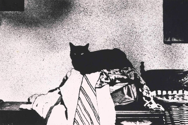 Mavis Pusey Untitled Portrait of a Cat (Black and White), n.d.