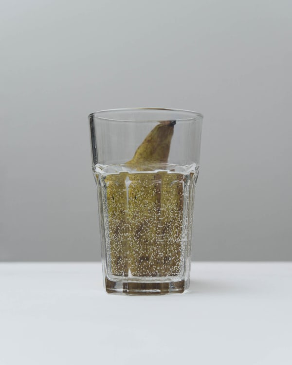 Chih-Chien Wang, Pear and Glass Water, 2017