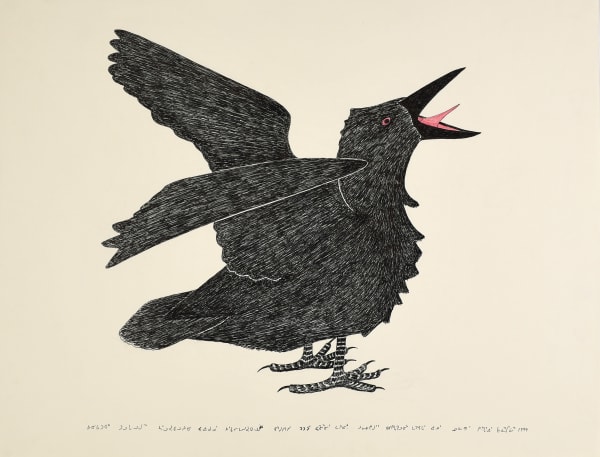 033-1203, 1998-1999 Graphite, crayon de couleurs et encre / Graphite, coloured pencil and ink Kananginak Pootoogook 20 1/8 x 26 " 51.1 x 66 cm