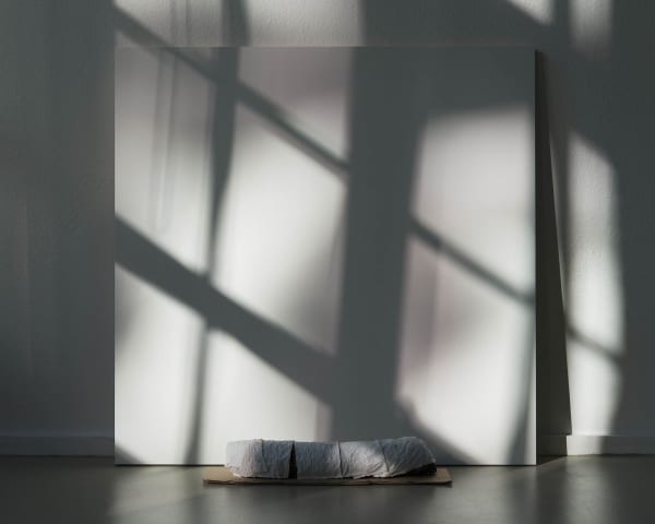 Chih-Chien Wang, Light, Tree Limb, Tissue and Wood Panel, 2016