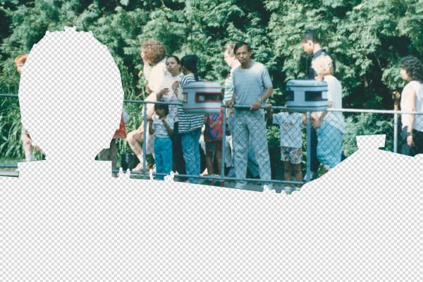 On Being Included, 2021 Impression à solvant adhésif montée sur contreplaqué et impression à solvant adhésif montée sur verre / Adhesive Solvent Print Mounted on Plywood and Adhesive Solvent Print Mounted on Glass Zinnia Naqvi 54 x 82 " 137.2 x 208.3 cm