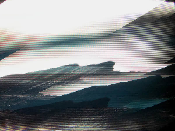 Edward Maloney, Joshua Tree (13 x 15 1/2"), 2019