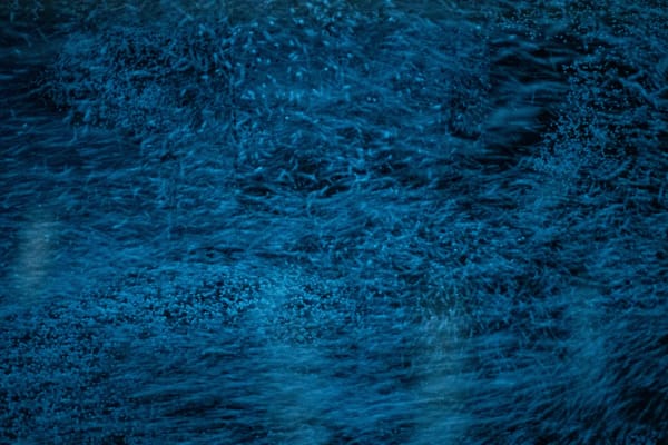 Chih-Chien Wang, Blue Movement, 2023