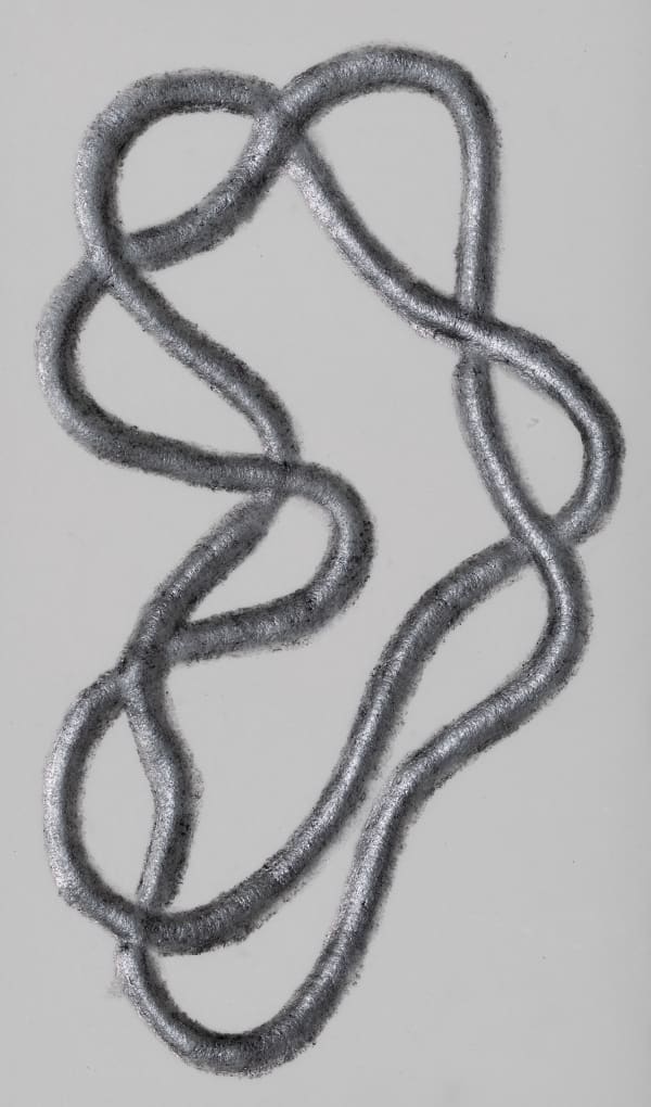 Roberto Pellegrinuzzi, Trajectoire (couronne) , 2024