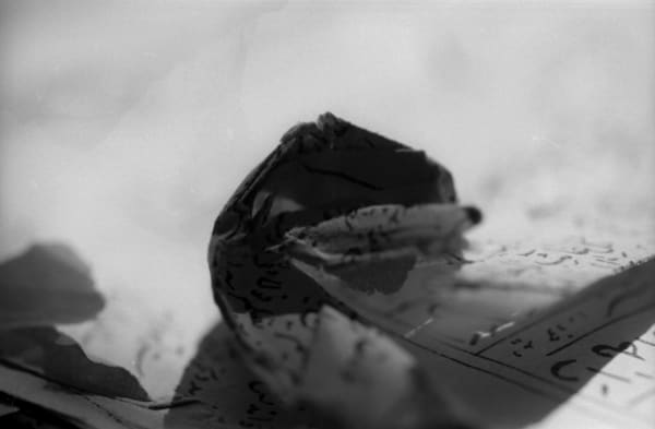 Leila Zelli, Les paysages sacrés, 2018