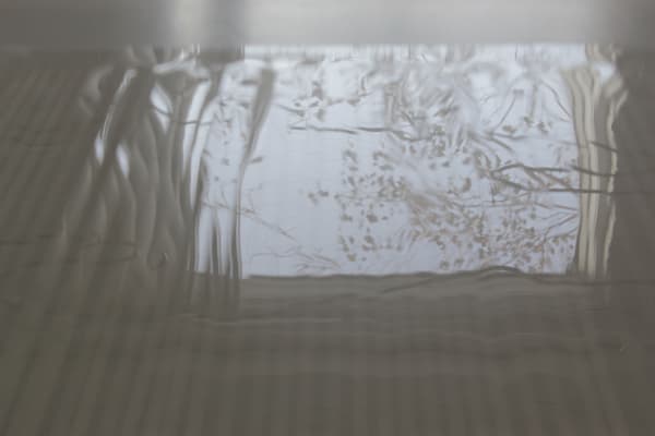 Karilee Fuglem, Studio Light (2015-11-15, 5:09 pm), 2015