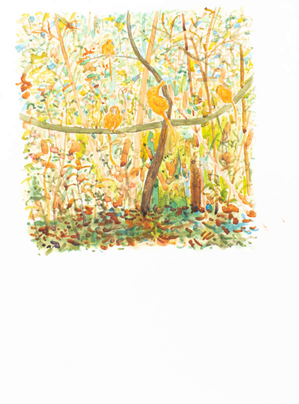 Ripley Whiteside, Marmosets, 2014