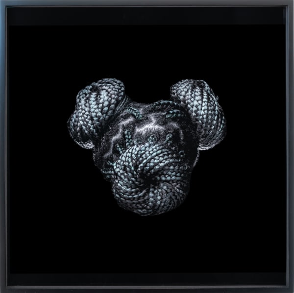 Stephane Alexis, Box Braids no. 1, 2020