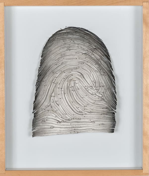 Roberto Pellegrinuzzi, Empreinte 1, 1999
