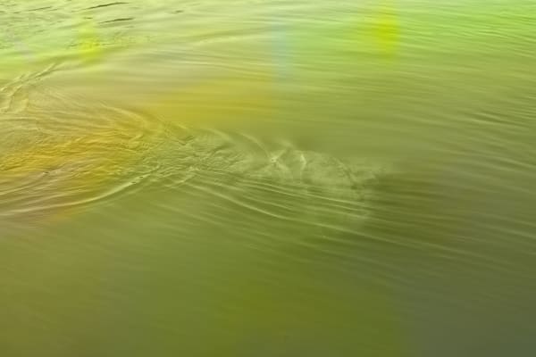 Chih-Chien Wang, Green Water, 2014