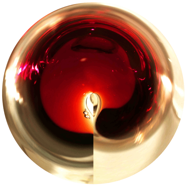 Luc Courchesne, 2013/11/02, Montreal, 2013