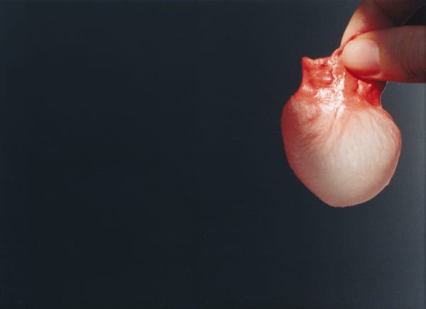 Karilee Fuglem, Untitled, 1999