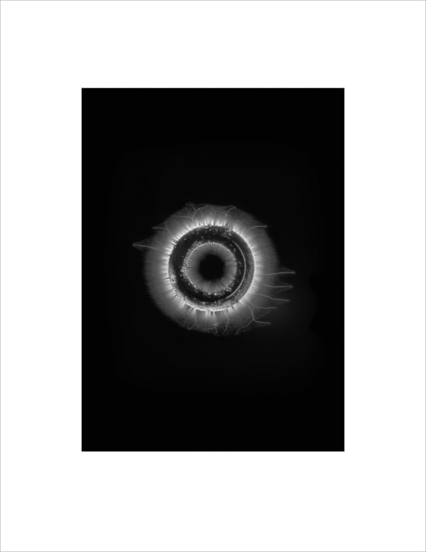 Marie-Jeanne Musiol, Corps de lumière no 726 (Cercle de métal) / Bodies of Light no. 726 (Metal ring), 2024