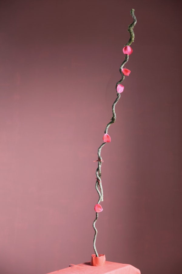 A Hum in the Library, 2020 Impression au jet d'encre sur Canson Etching Rag 310 gsm / Ink Jet Print on Canson Etching Rag 310 gsm Benny Nemer 17 3/4 x 11 3/4 in 45 x 30 cm Ed. 5 + 2 AP