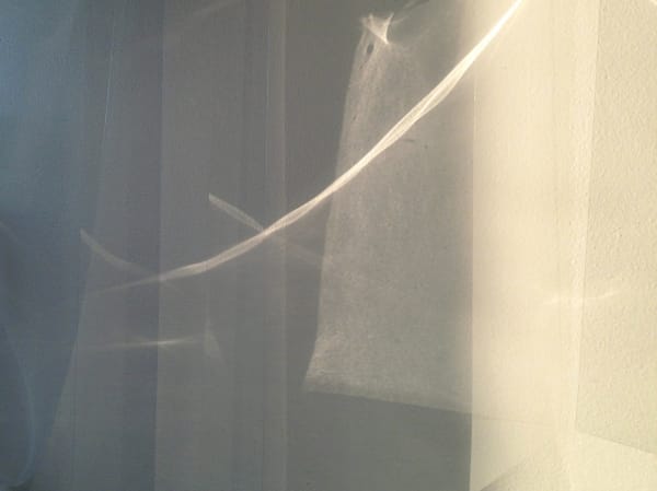 Karilee Fuglem, Studio Light (2015-04-17, 7:12 pm), 2015