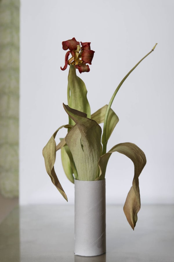 Chih-Chien Wang, Dry Flower Paper Roll, 2017